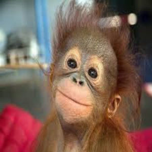 Meet your Posher, Elisa